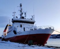 Морская жизнь