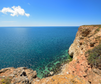 ������������ ����