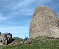 ��������� �������