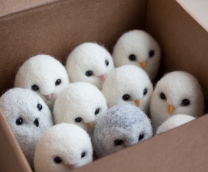 ��������