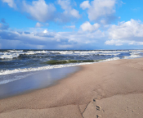 Море, море - мир бездомных.