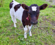 ���������� �� � �� � (������ ����)