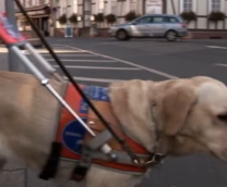 ��� ������ ���� ������