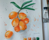 ��������