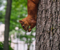 �������