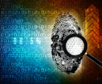 ��� � ������� ���������-�������������