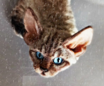 ������/����/�����. ������� ������ ������ �� �����.