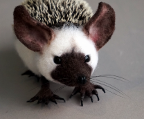 ������������ ���. ��� ������ ����� �� �����. 