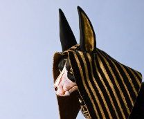 ������� ����� � ������ �������� �� �����/ �������.