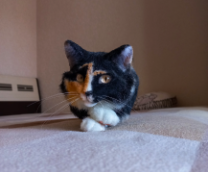 ������������ ����� �������� �������� �� �����.