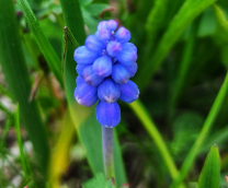 �������������� ����-���