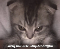 Кислые мармеладки