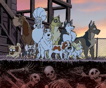 Stray Dogs:  