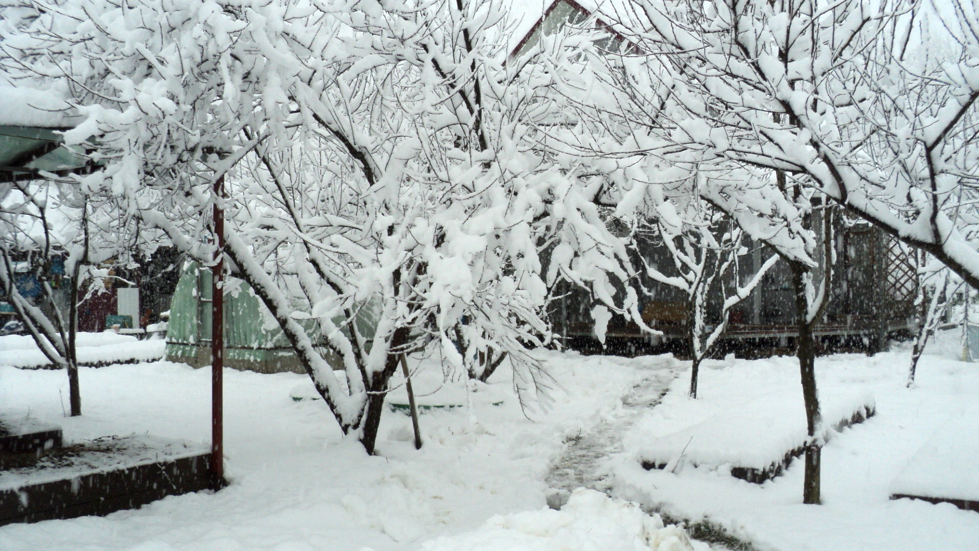 Фото Краснодарского Края Зимой